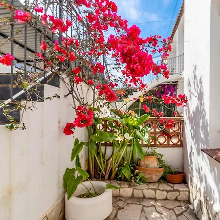 Daire Fener De Baix 81 - Primera Linea Mar *